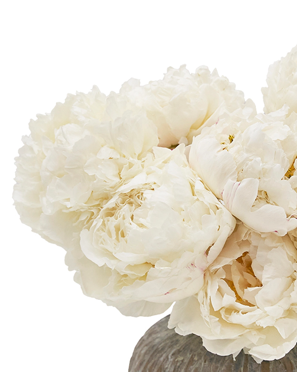 Peonies I Love Details Peonies I Love Details