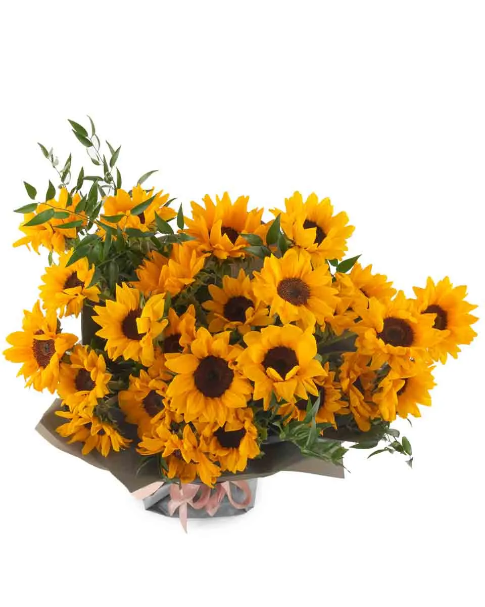 Hello Sunflower SUPERB JUNE 9 2023 Hello Sunflower SUPERB JUNE 9 2023