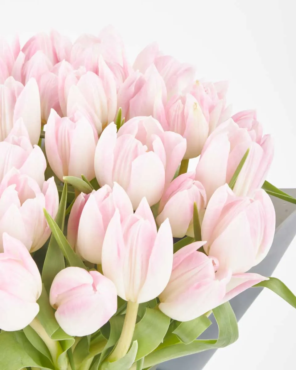 Romantic Pink one size JUNE 23 2023 Romantic Pink one size JUNE 23 2023