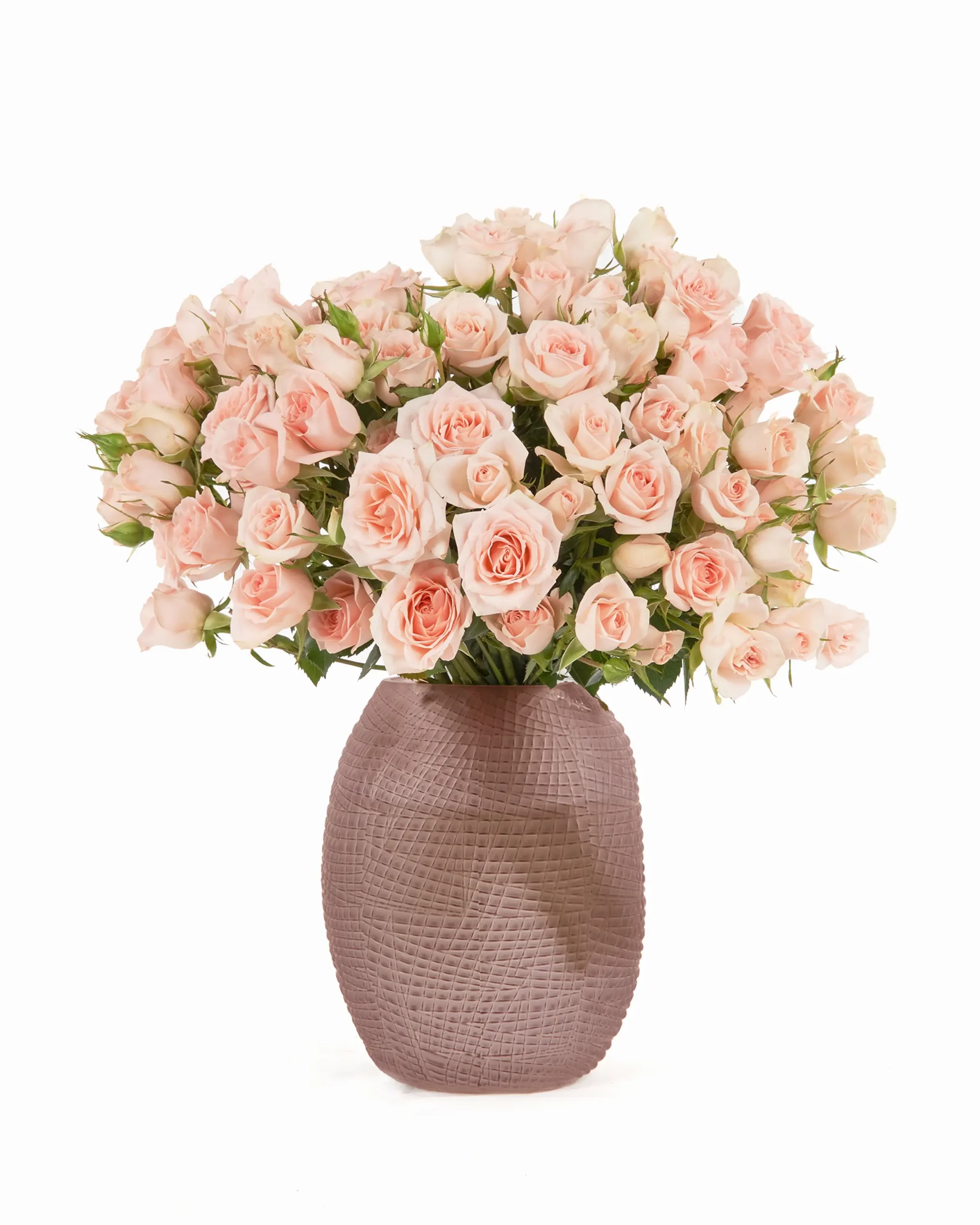 SARAH BABY Pink scaled 1 SARAH BABY Pink scaled 1