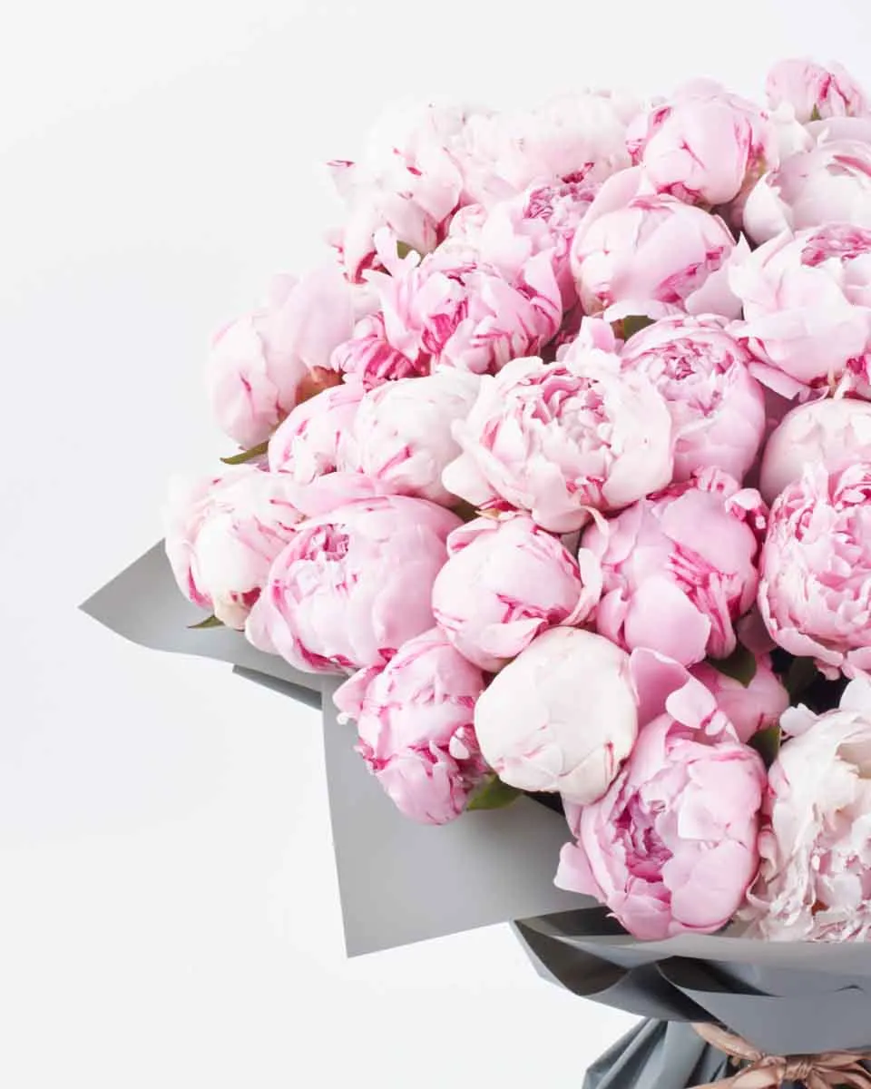 peony overload detailed 1 peony overload detailed 1