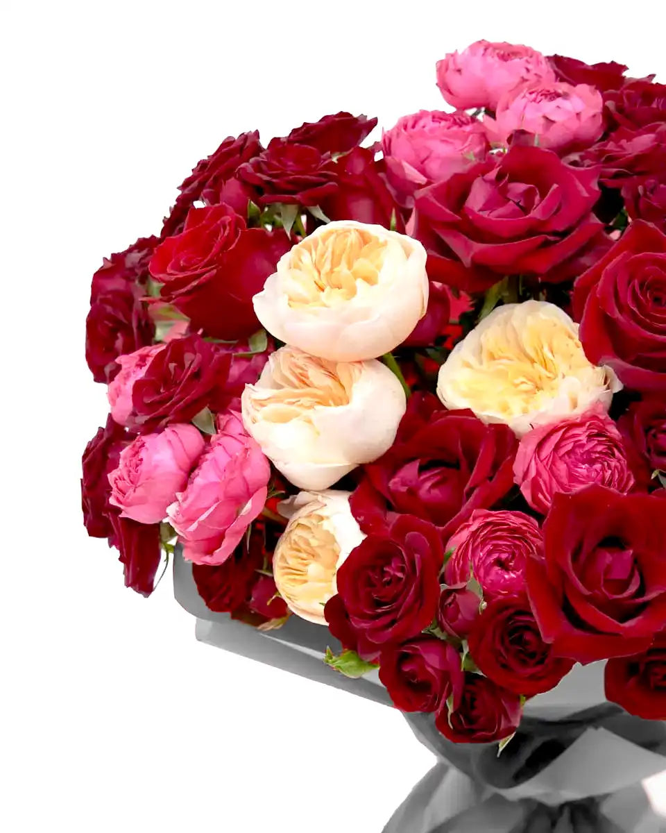 Lots Of Love superb detail 2 2025 Edited Lots Of Love superb detail 2 2025 Edited