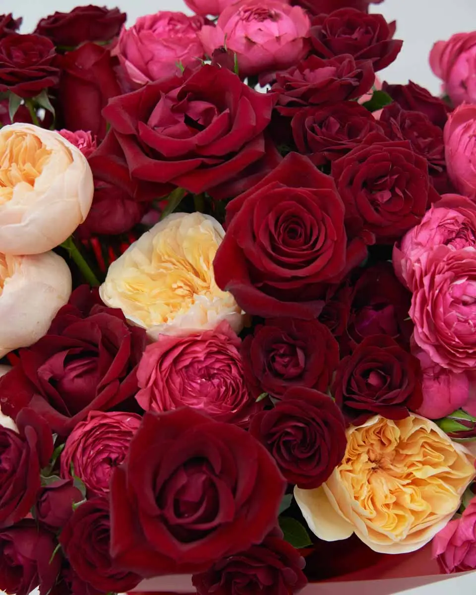 Lots Of Love superb detail 3 2025 Lots Of Love superb detail 3 2025