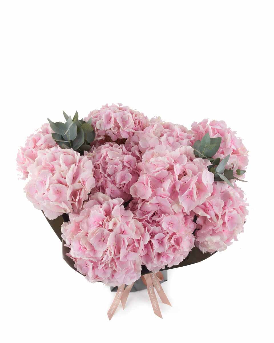 Fluffy Verena Pink impressive JUNE 9, 2023 Fluffy Verena Pink impressive JUNE 9, 2023