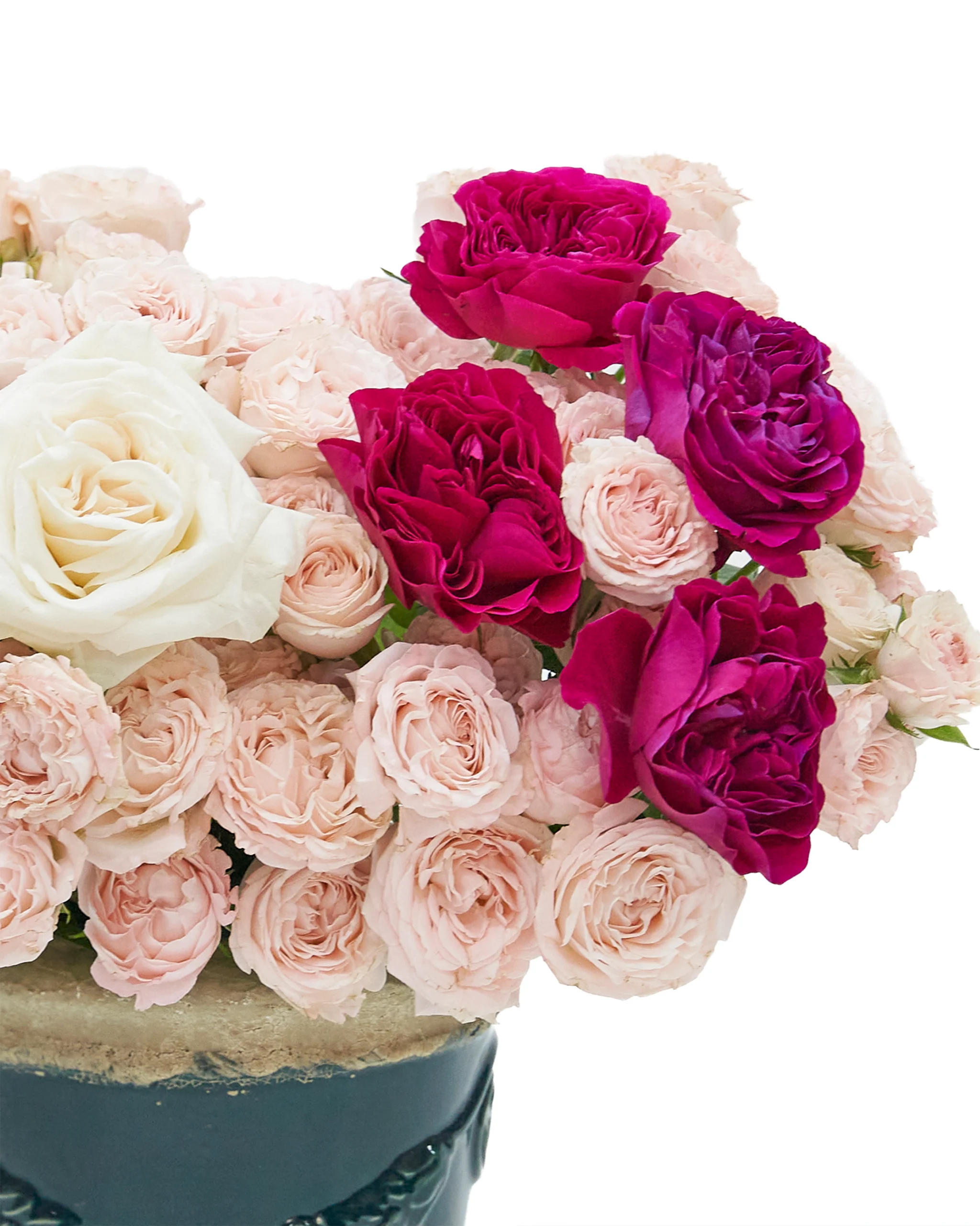 Lovely Blooms reshoot3 Lovely Blooms reshoot3