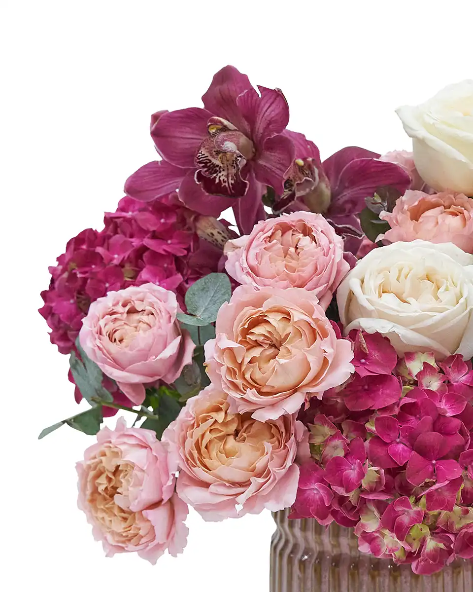Pretty Rosy details Pretty Rosy details