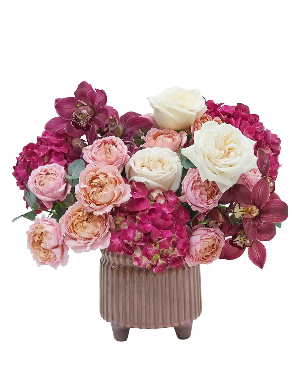Pretty Rosy Pretty Rosy