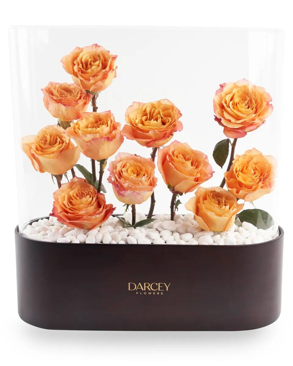 ACRYLIC BOX 8 ACRYLIC BOX 8