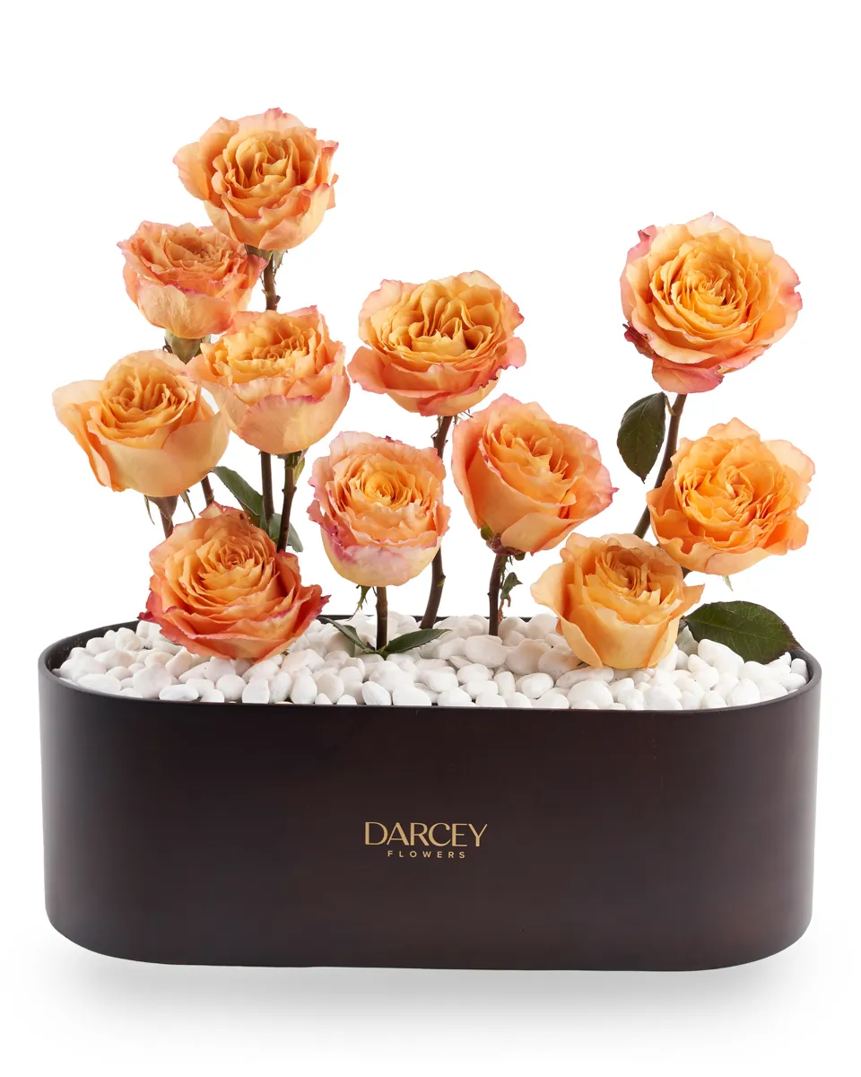 ACRYLIC BOX 8 1 ACRYLIC BOX 8 1