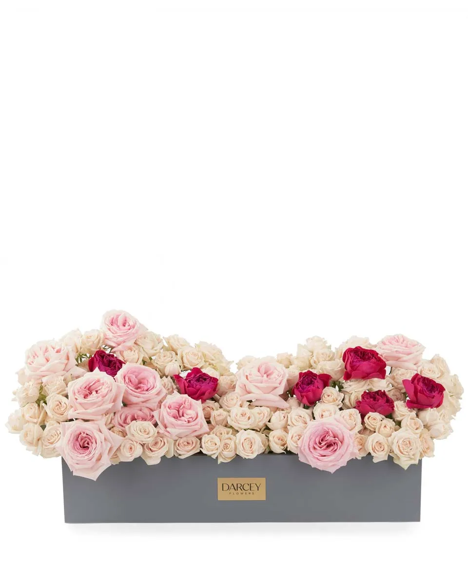 Darcey in Love LARGE JUNE 19 2023 4 Darcey in Love LARGE JUNE 19 2023 4