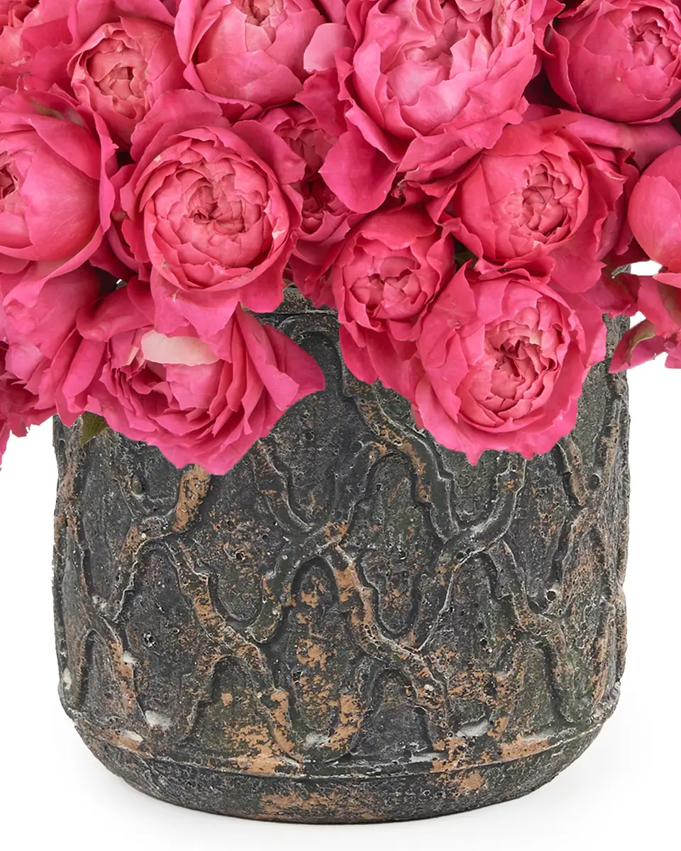 Hello Cerise KISS ME CERISE JUNE 2, 2023 3 Hello Cerise KISS ME CERISE JUNE 2, 2023 3