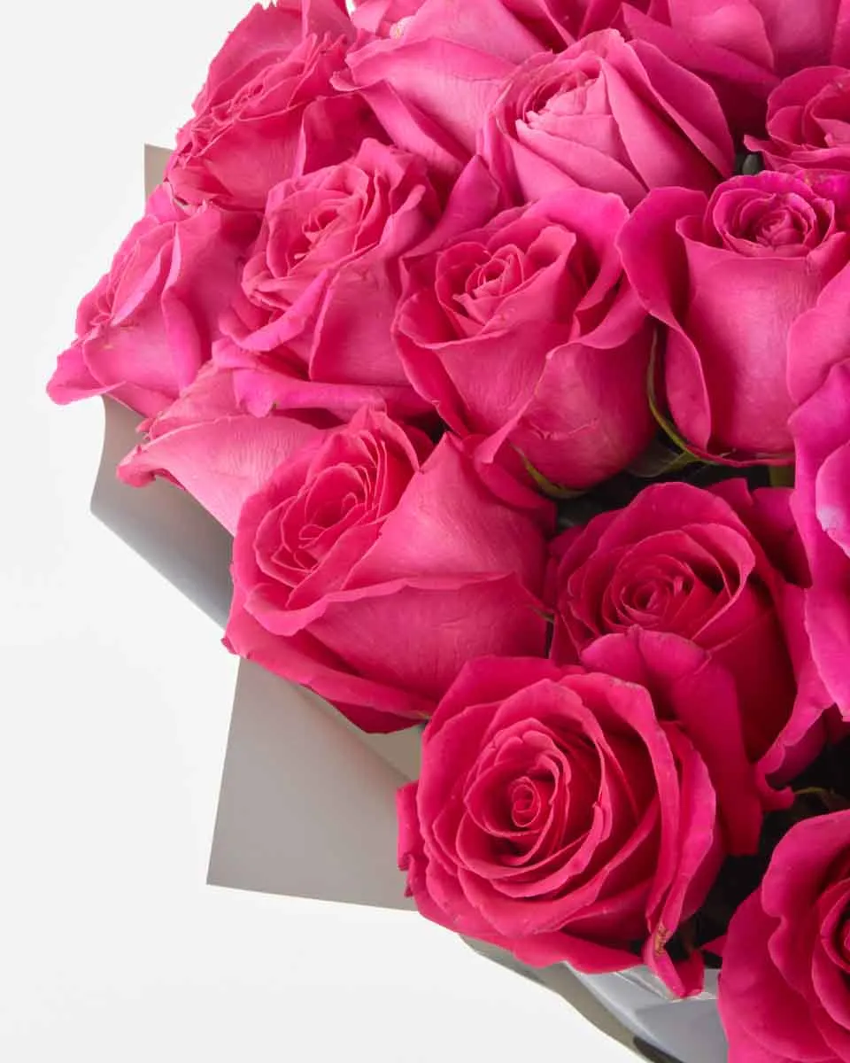 Madame Cerise superb JUNE 12 2023 1 Madame Cerise superb JUNE 12 2023 1