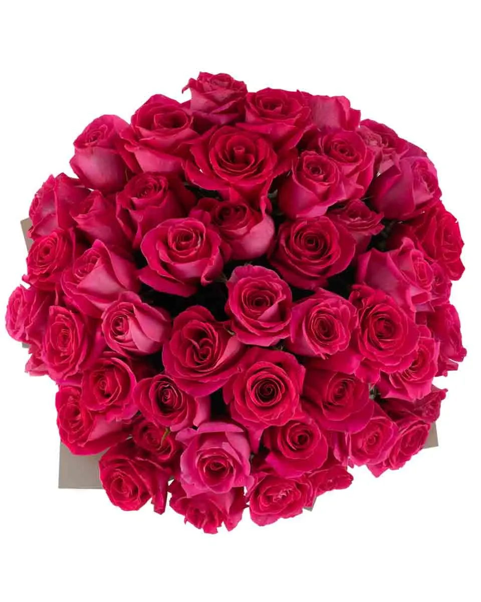 Madame Cerise superb JUNE 12 2023 top Madame Cerise superb JUNE 12 2023 top