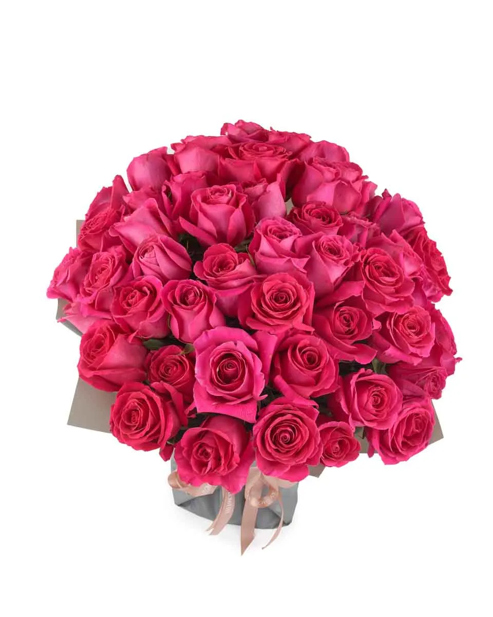 Madame Cerise superb JUNE 12 2023 Madame Cerise superb JUNE 12 2023