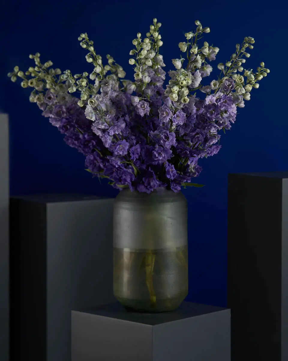 PURPLE HEART PURPLE HEART