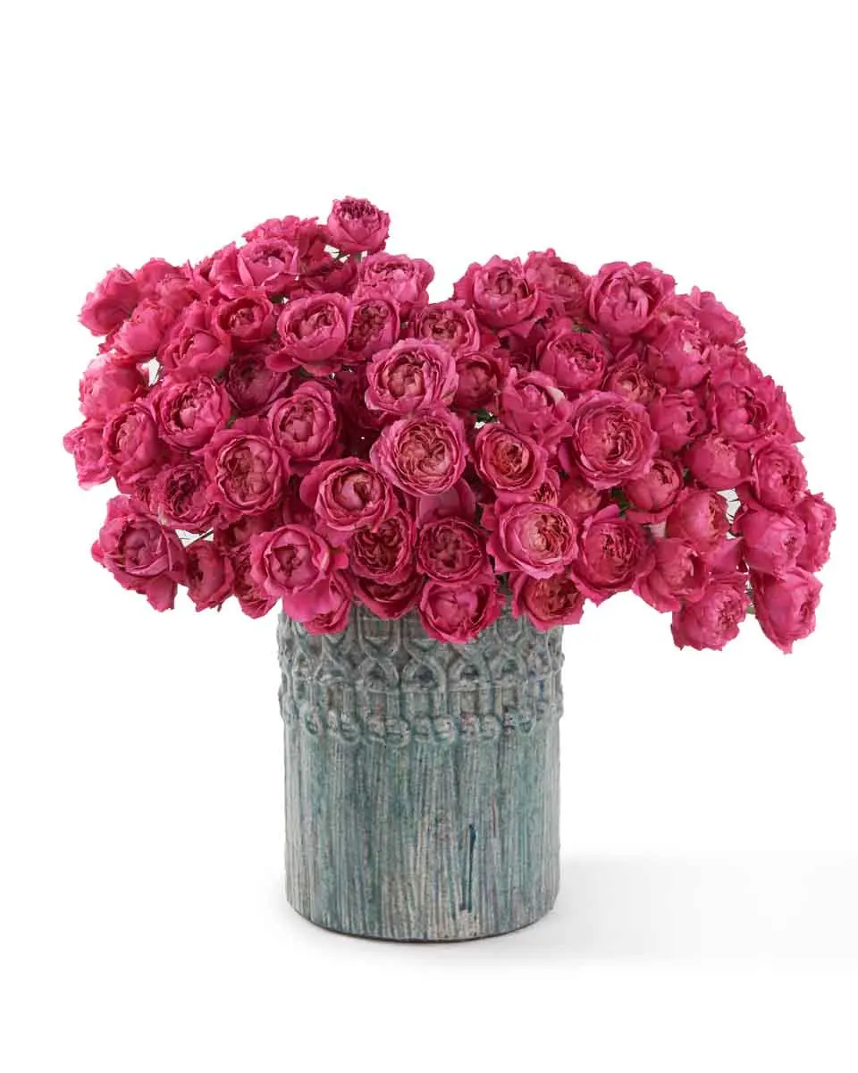 My Darling Cerise My Darling Cerise