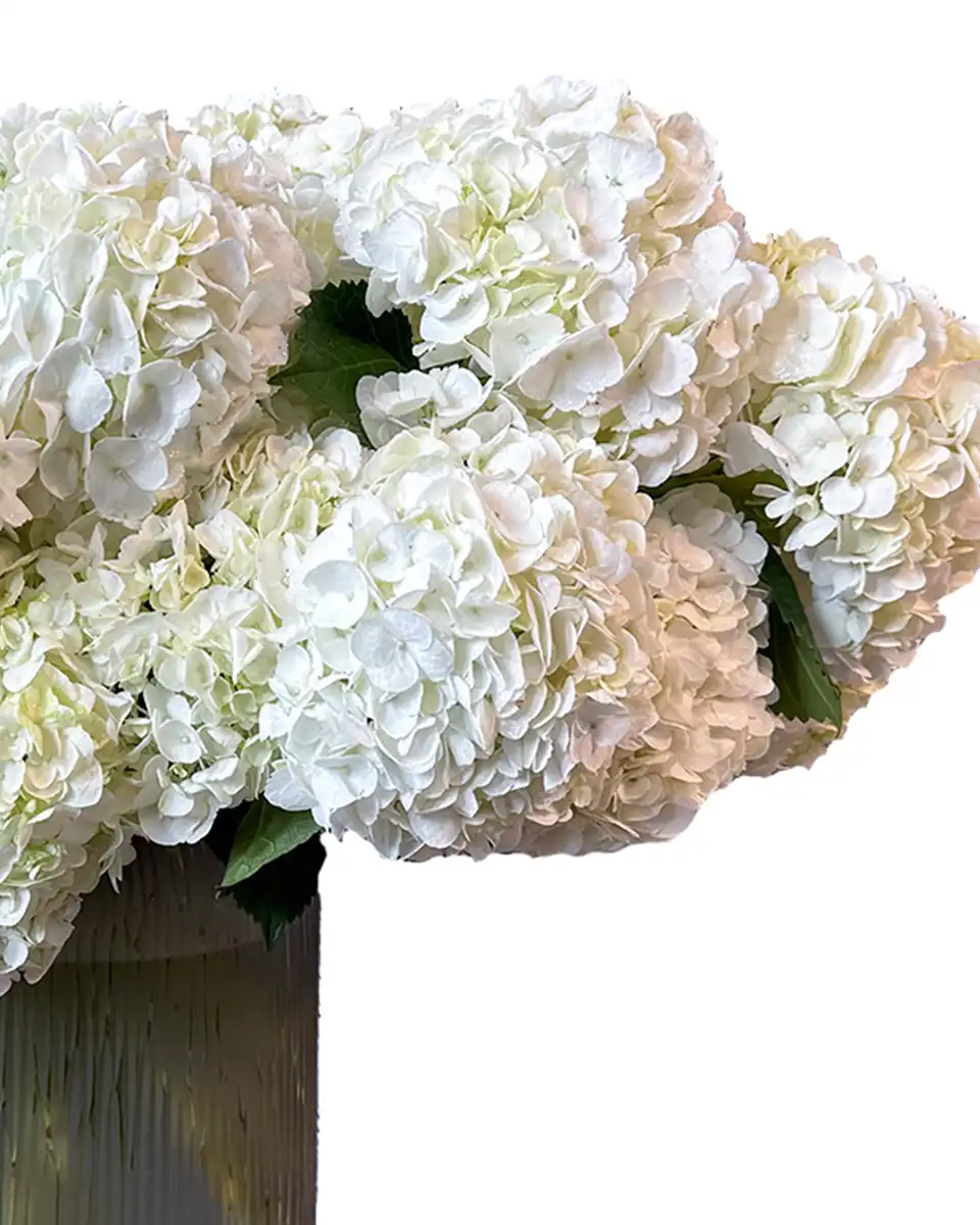 White Candy Cloud left White Candy Cloud left