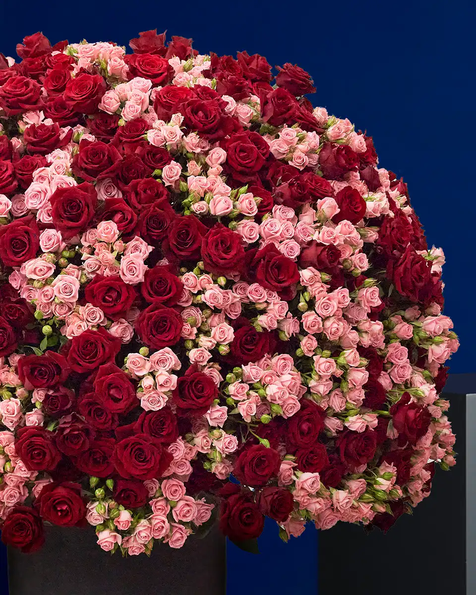 Love in Full Bloom Left