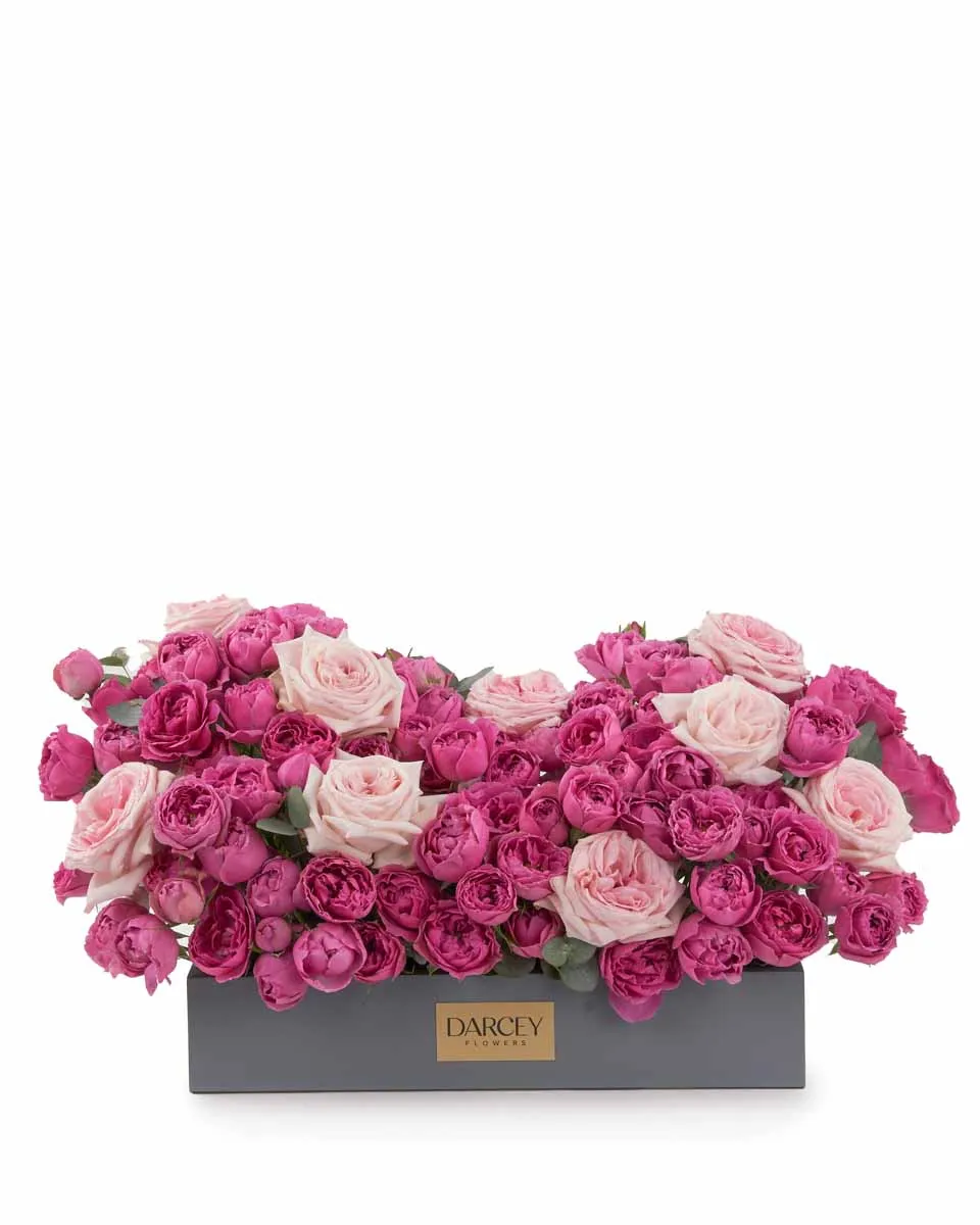Pink OHara Beauty medium JUNE 19 2023