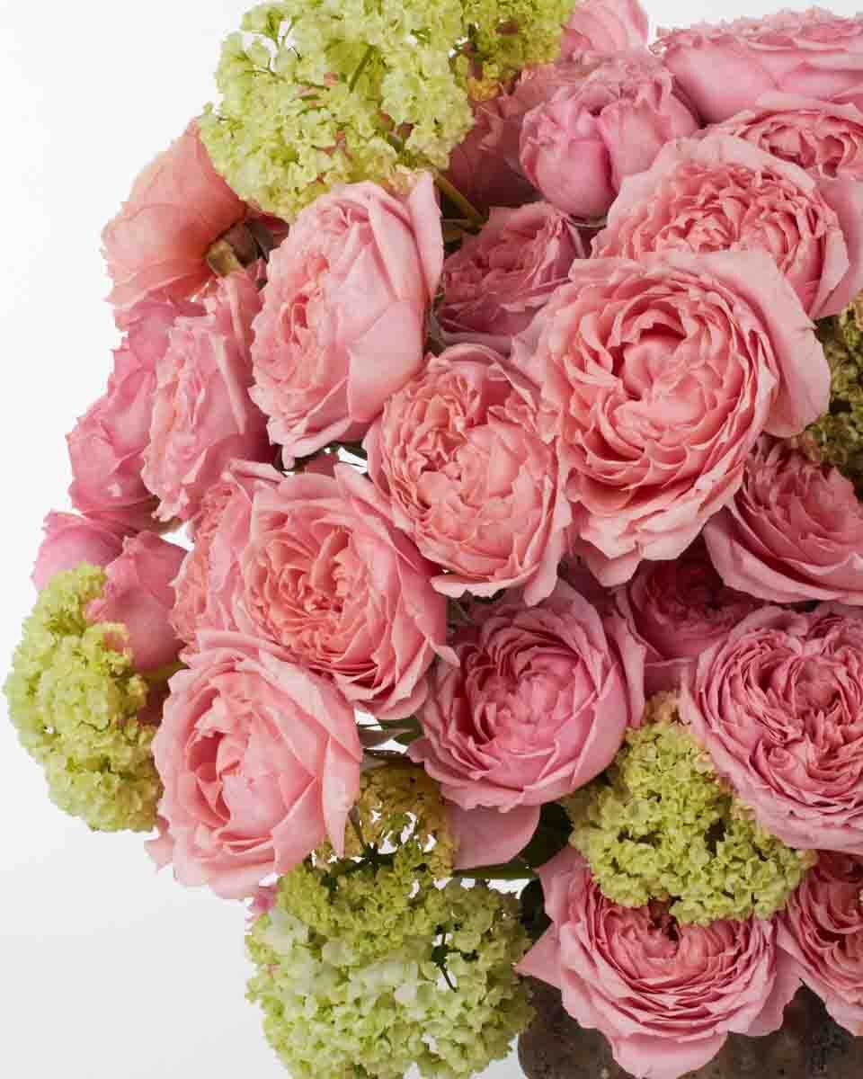 ROSEUM GAZE 3 JUNE 1 2023