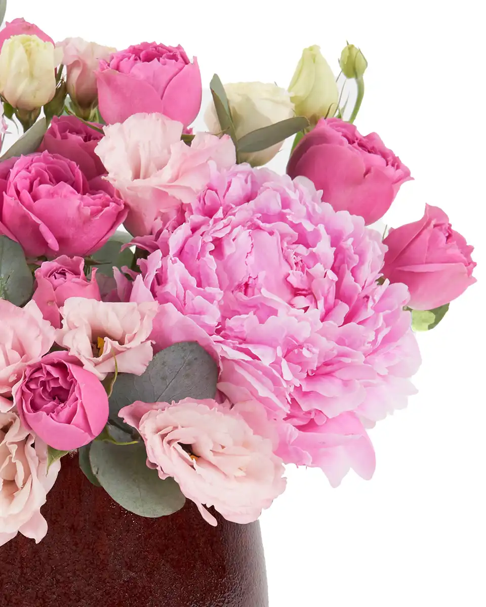 Minerva’s Beauty Details Minerva’s Beauty Details