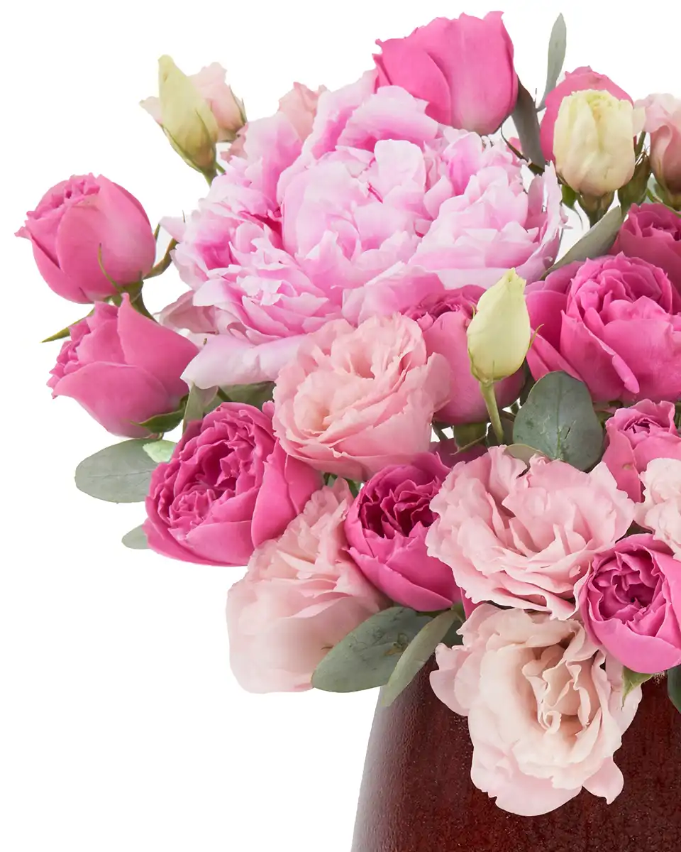 Minerva’s Beauty Details2 Minerva’s Beauty Details2