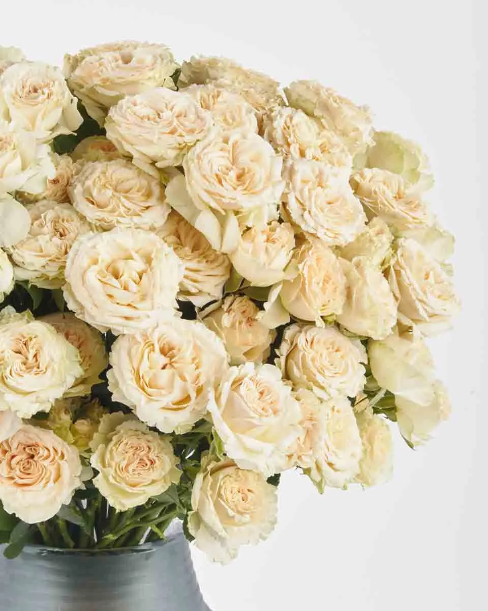 Be My Baby JUNE 16 2023 3 Be My Baby JUNE 16 2023 3