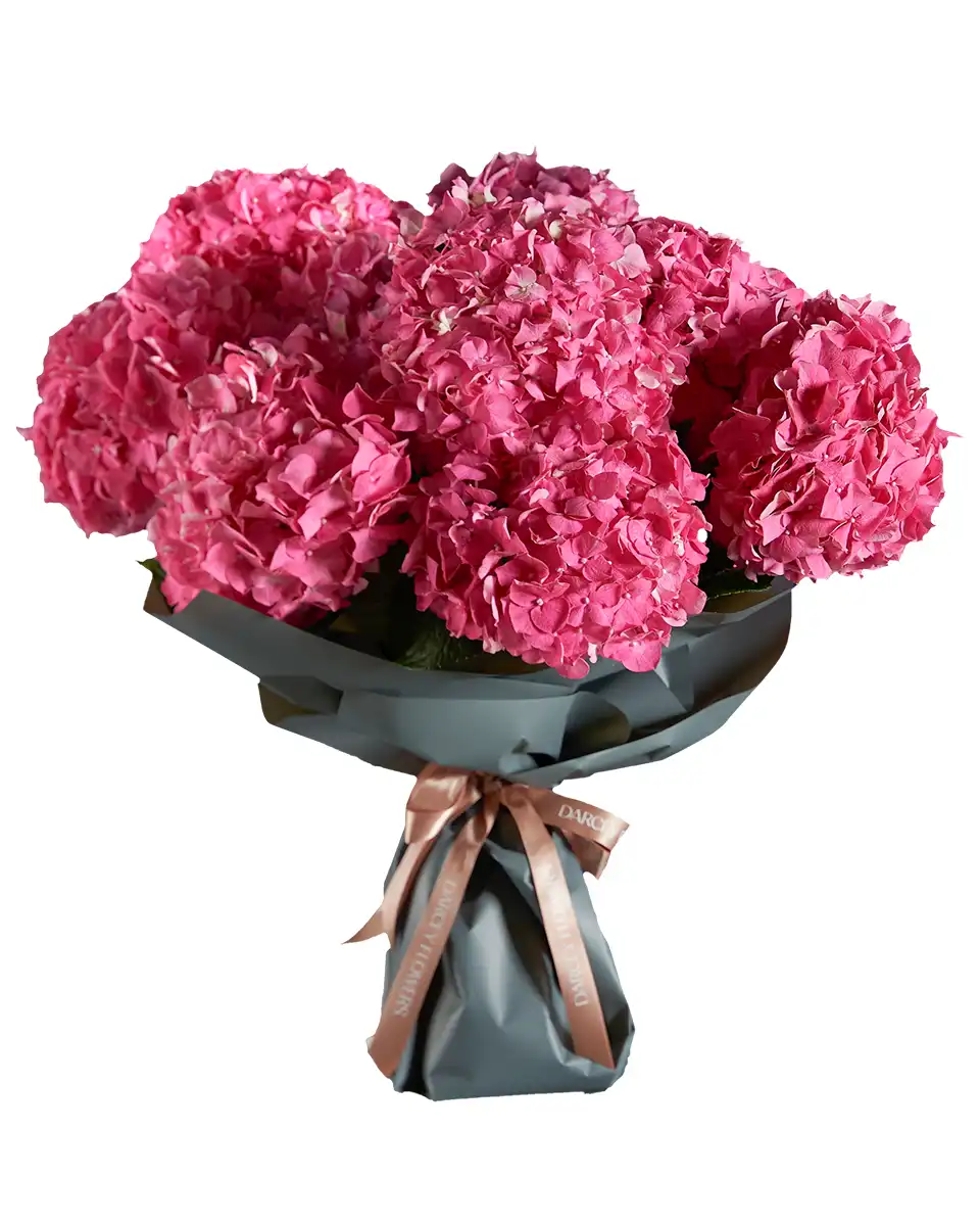 Hydrangea Madness Impressive Edited1 Hydrangea Madness Impressive Edited1