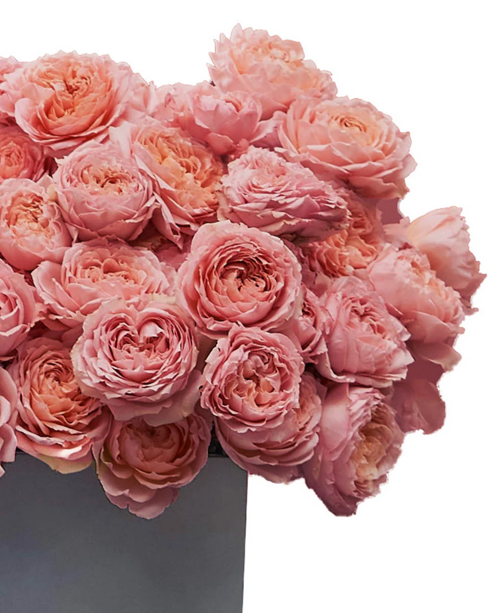 Julieta Salmon Blooms Medium2 Julieta Salmon Blooms Medium2