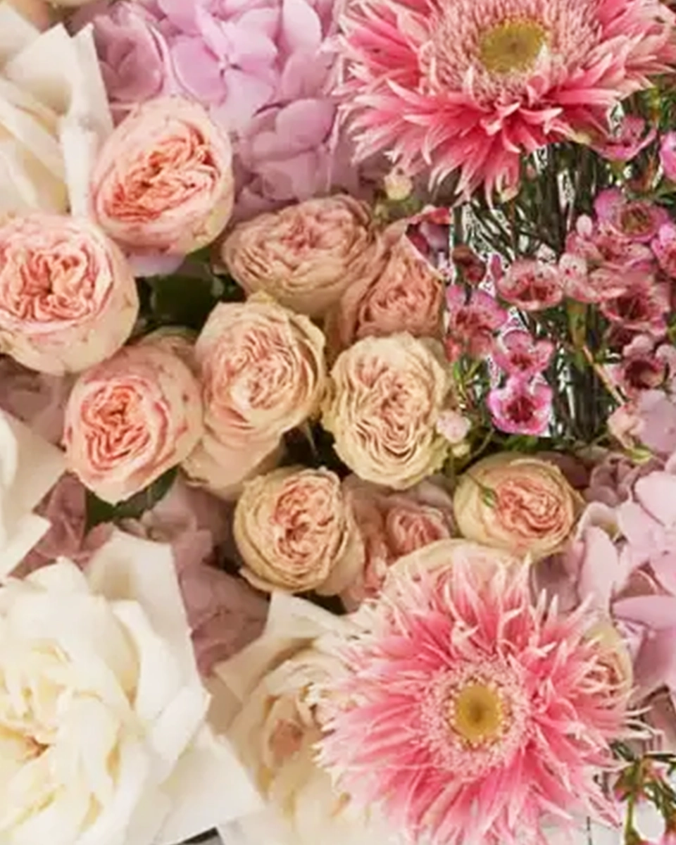 MesmerizeBOQUET JBF 1 SUPERB 2New MesmerizeBOQUET JBF 1 SUPERB 2New