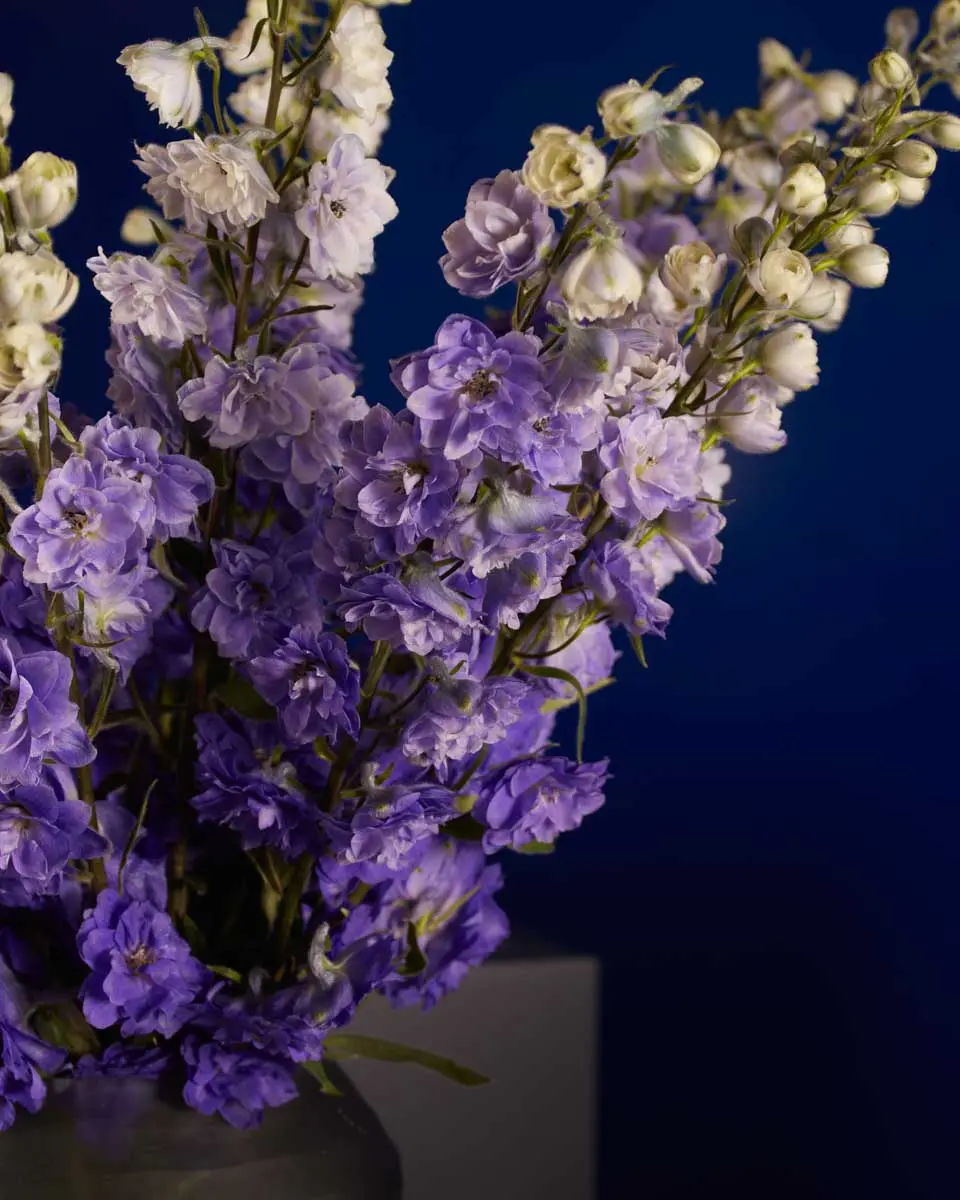 PURPLE HEART 3 PURPLE HEART 3