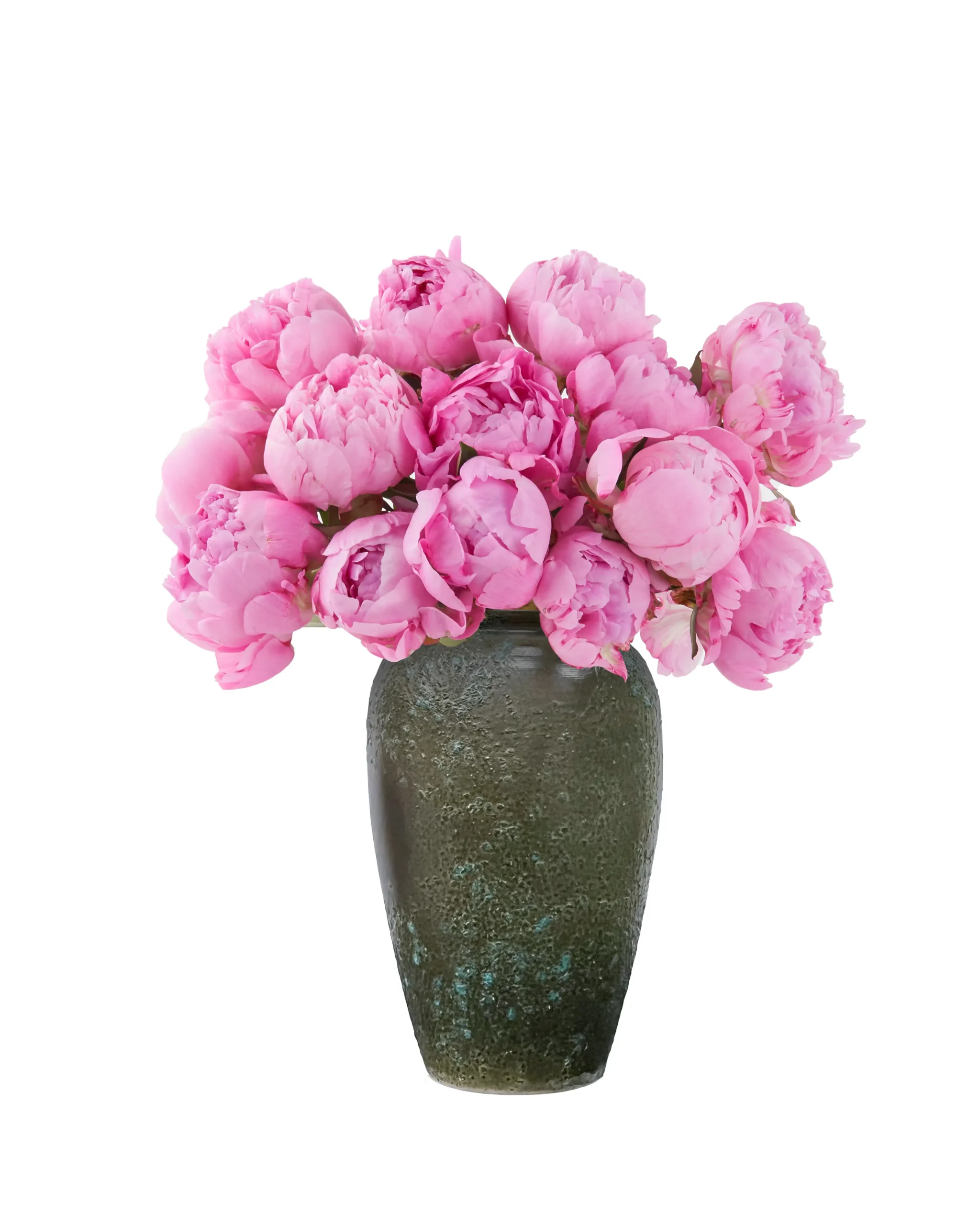 Pink Splendor JUNE 24, 2024 Pink Splendor JUNE 24, 2024