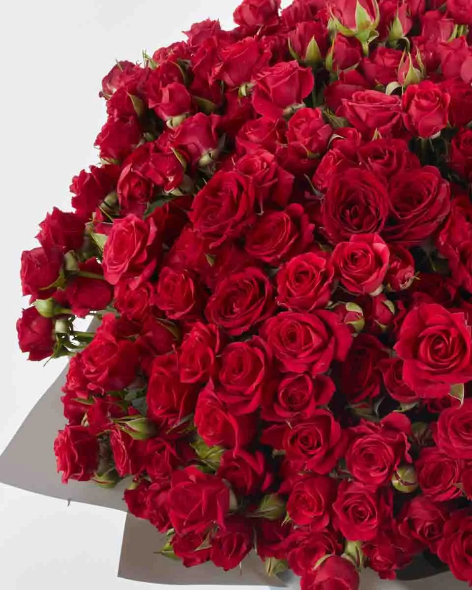 Ruby Red GRAND JUNE 13 2023 2 Ruby Red GRAND JUNE 13 2023 2