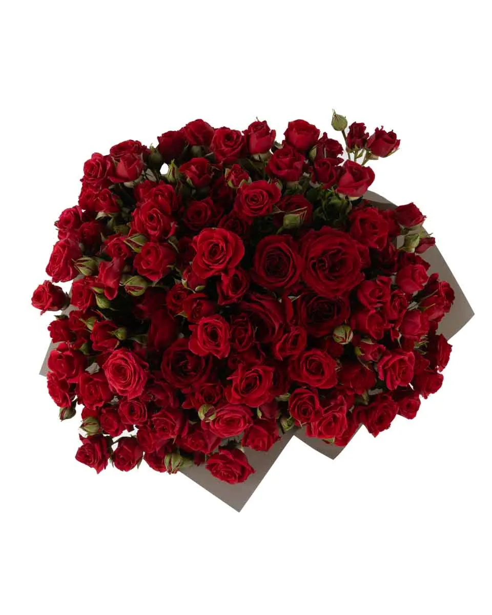 ruby red impressive JUNE 14 20231 top ruby red impressive JUNE 14 20231 top