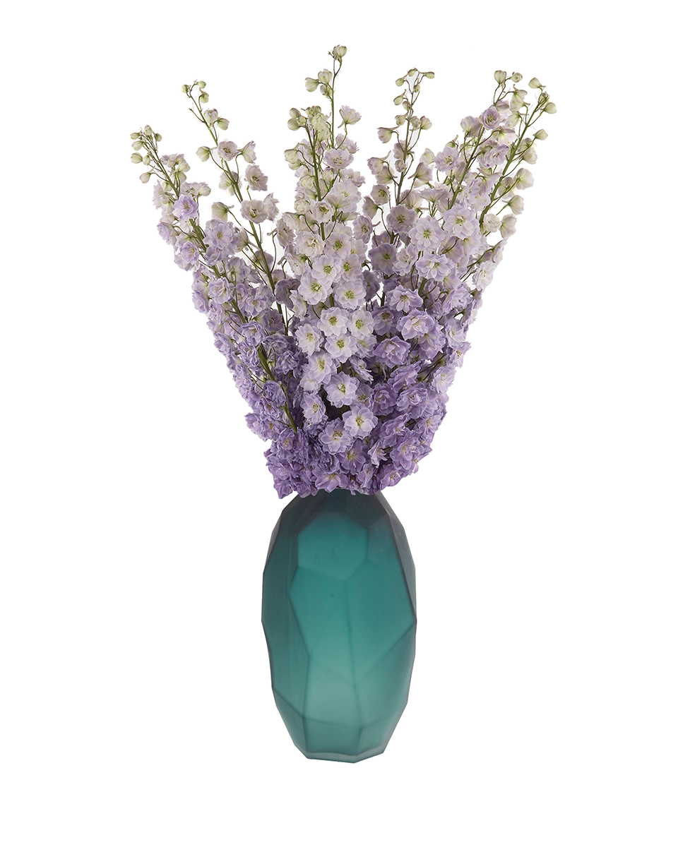 Magenta Heart 30 Dec2025 Magenta Heart 30 Dec2025