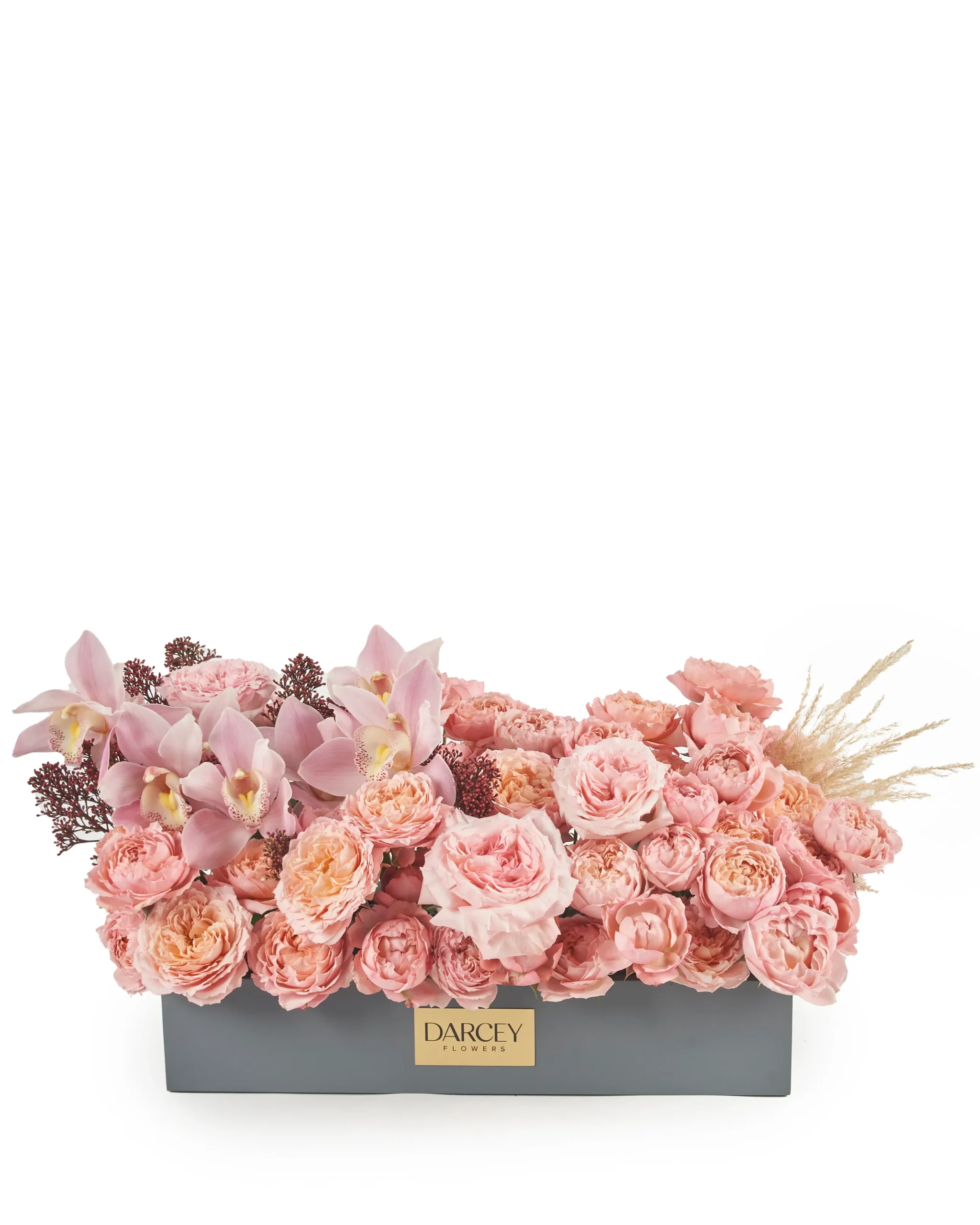 FROM THE HEART reshoot 2024 scaled FROM THE HEART reshoot 2024 scaled