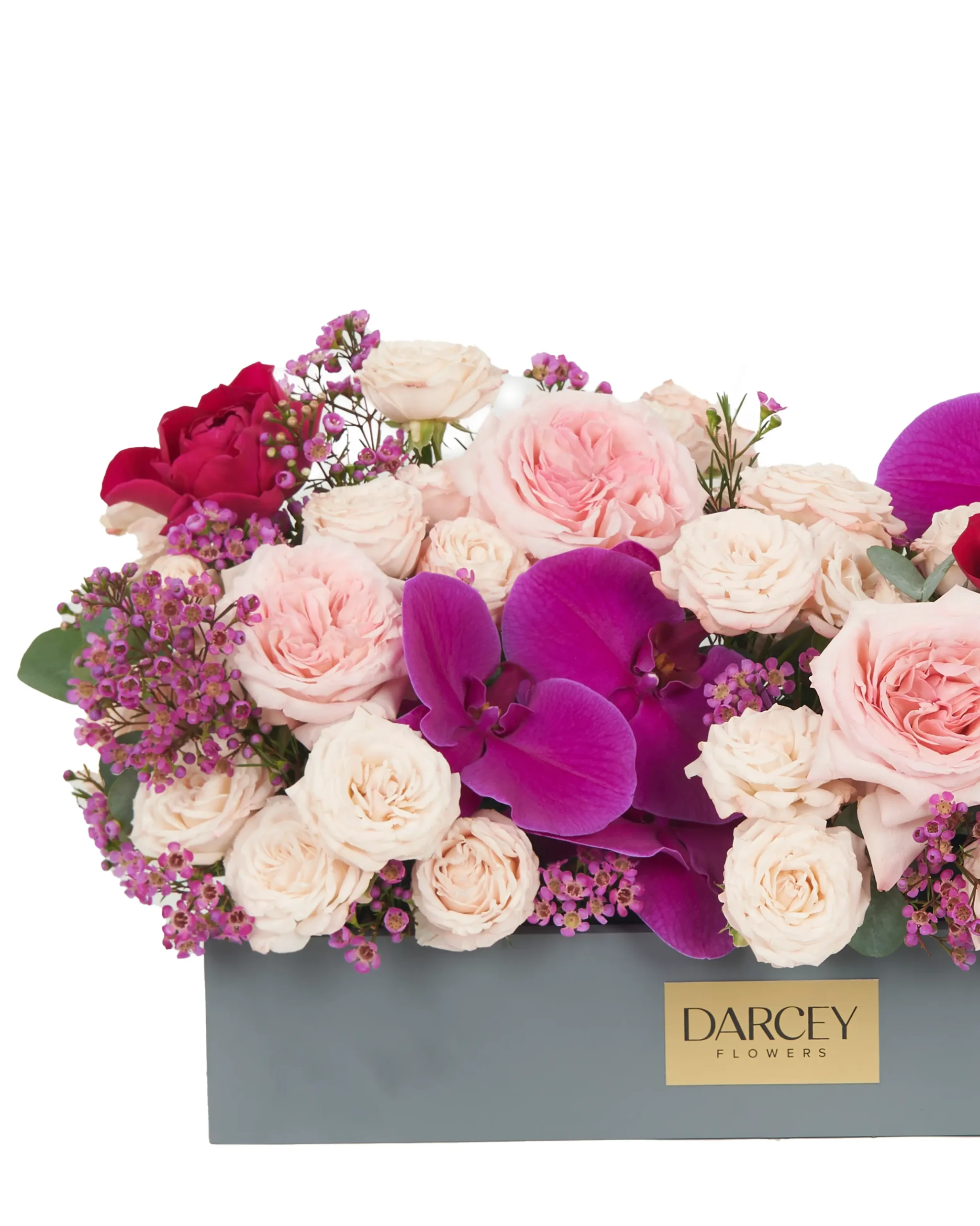 MAGICAL KISS 3 1 2024 scaled MAGICAL KISS 3 1 2024 scaled