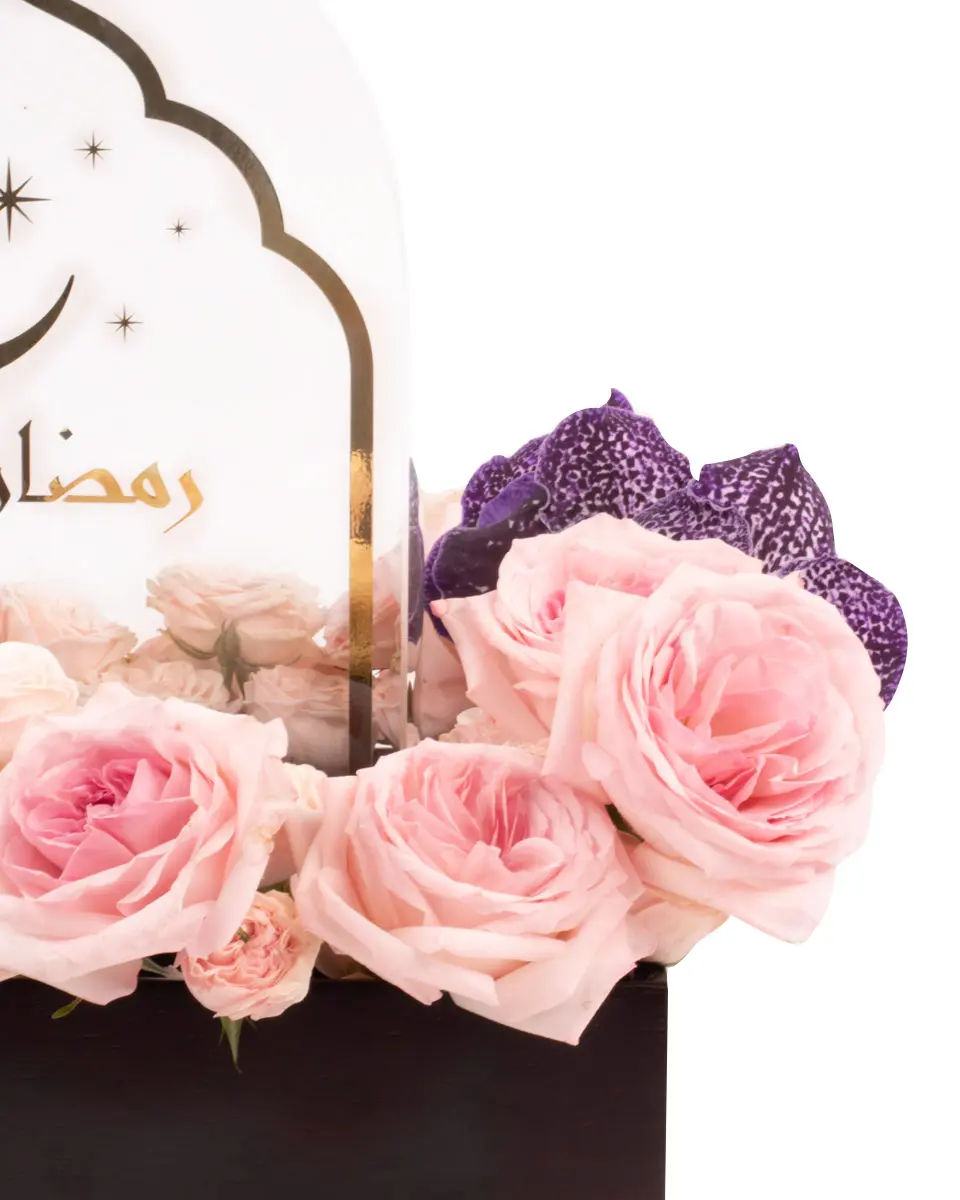 Celestial Bloom BoxIMG 1965 Celestial Bloom BoxIMG 1965