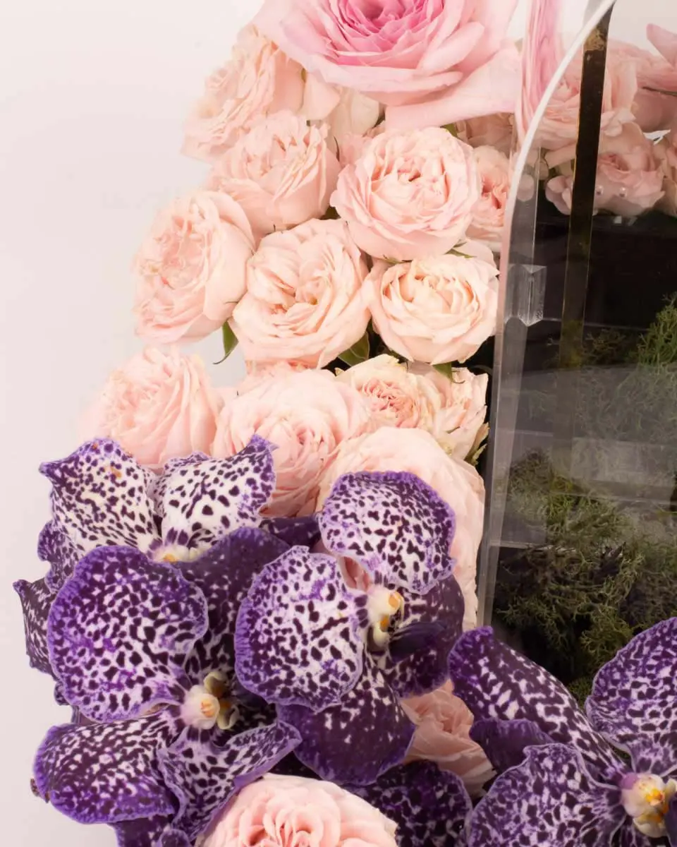 Celestial Bloom BoxIMG 1967 Celestial Bloom BoxIMG 1967