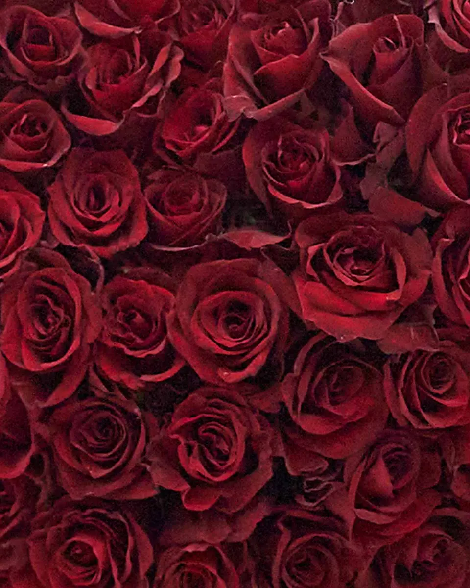 My Love For You Close2 My Love For You Close2