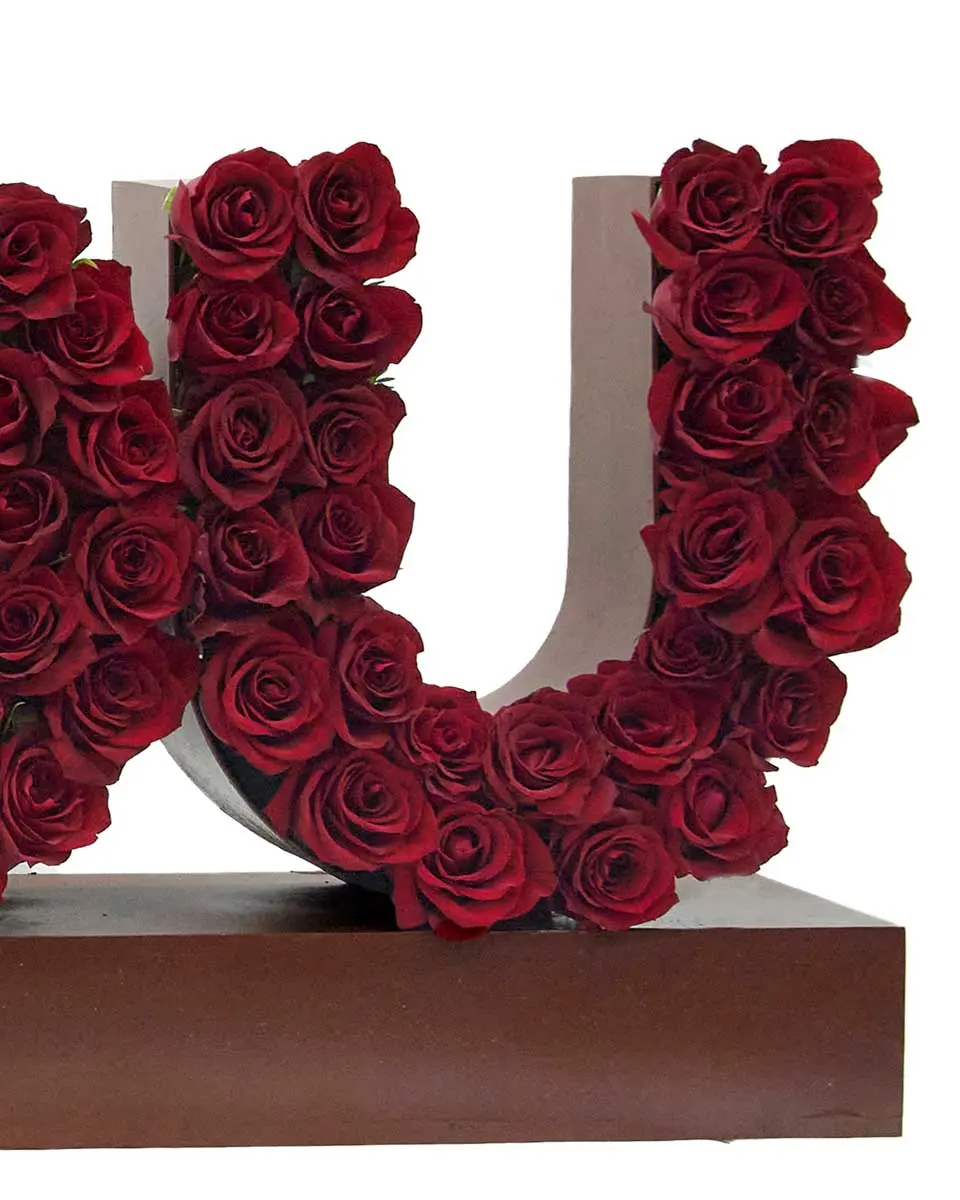 My Love For You Left My Love For You Left