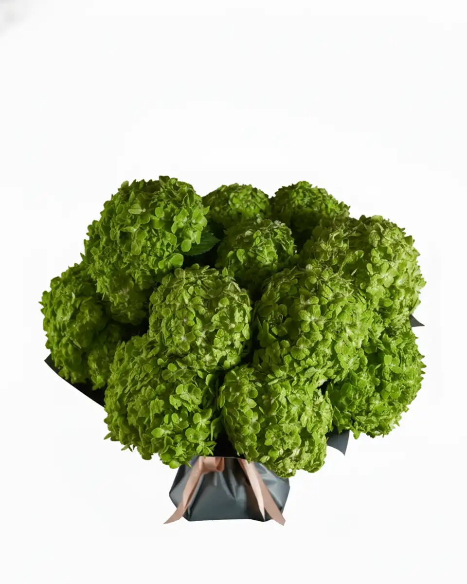 Apple Dapple Impressive edited Apple Dapple Impressive edited