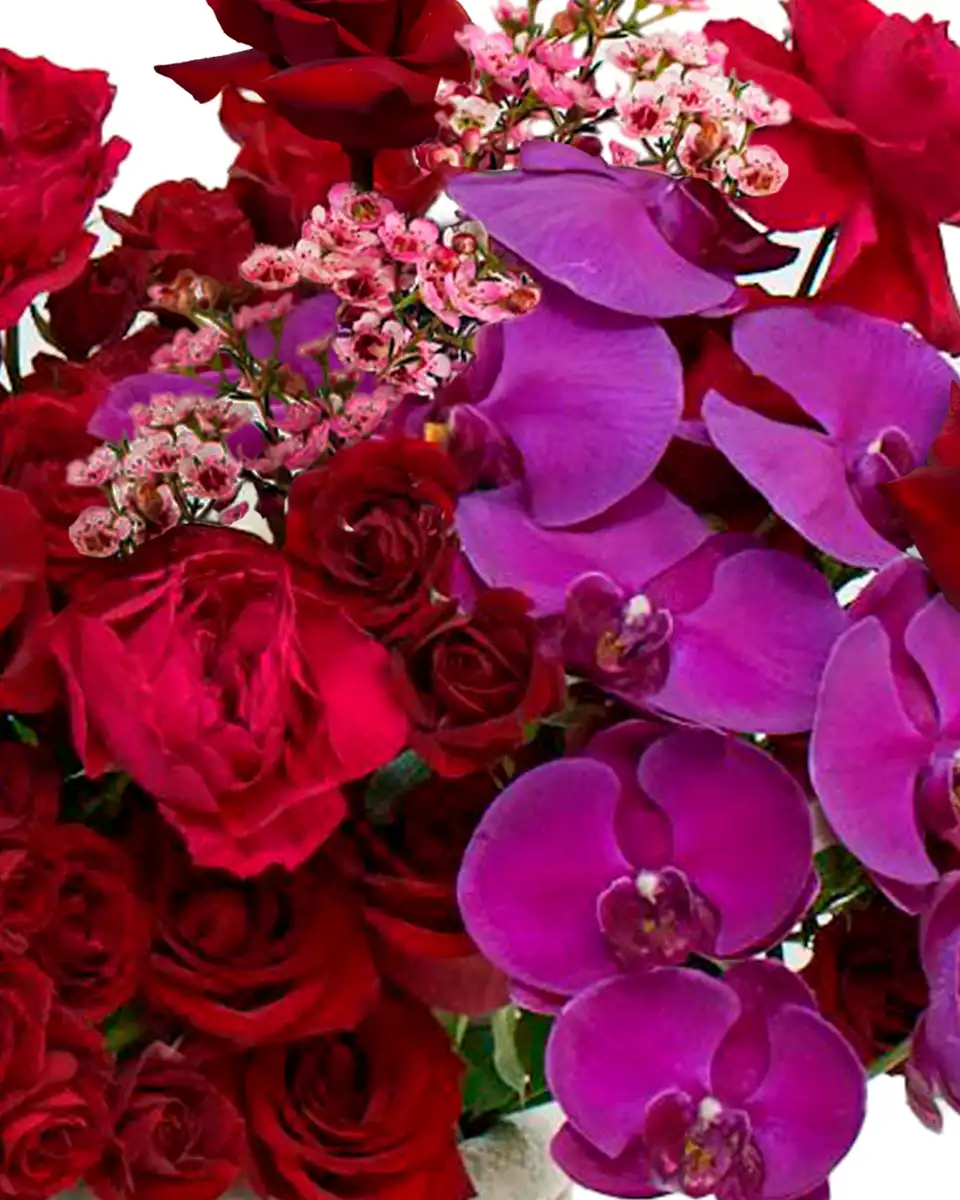 My Kind of Love Close Edited Wax Purple Flowers