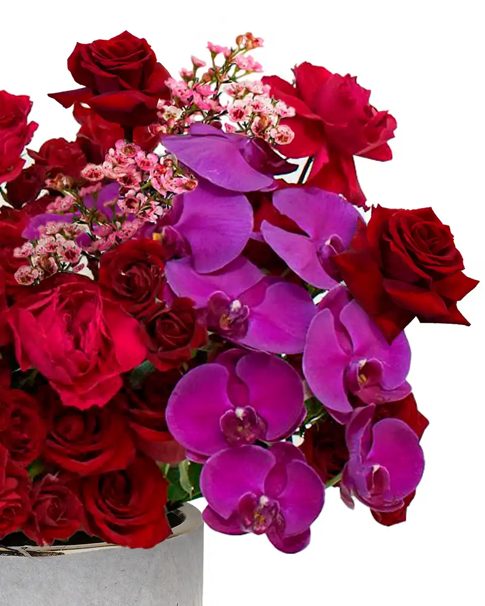 My Kind of Love Left Edited Wax Purple Flowers 2025 1