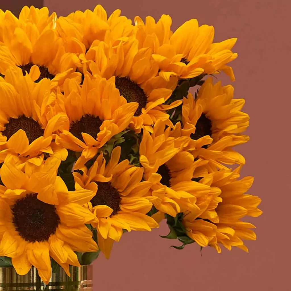 Sunflower in Stormlight Detailed