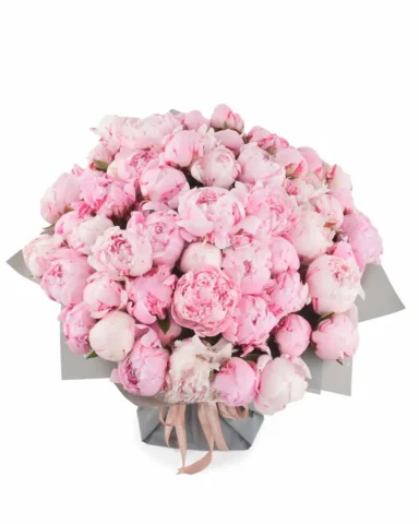 101 PEONIES ONE SIZE JUNE 7 2023