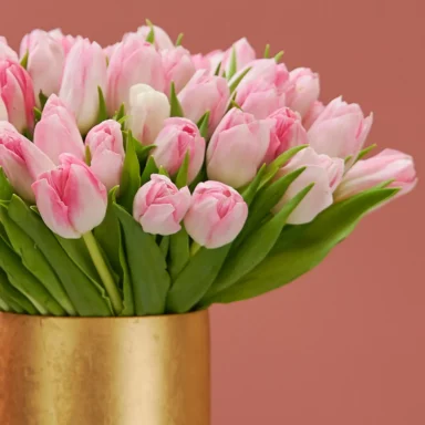 Charming Pink Tulips