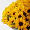 Mega Sunflower ONE SIZE ONLY JUNE 14 2023