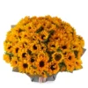 Mega Sunflower ONE SIZE ONLY JUNE 14 2023 2