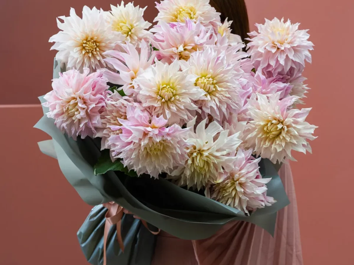 Order Miss Dahlia Bouquet in Dubai | Darcey Flowers